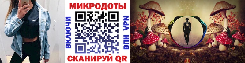 блэк спрут онион  Харабали  Псилоцибиновые грибы мицелий 